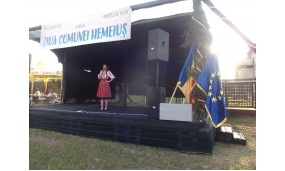 ZILELE COMUNEI 2017