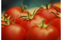 În atenția cultivatorilor de legume în spații protejate