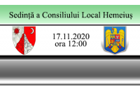 Ședință a Consiliului Local, în data de 17.11.2020, ora 12:00