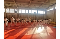 Programul "Judo in Hemeius" si-a reinceput activitatea