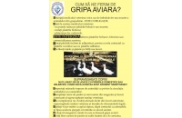 Masuri de profilaxie privind Influența Aviară (gripa aviară)