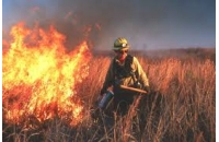 Măsuri specifice de prevenire a incendiilor specifice sezonului de primăvară