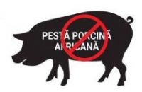S-a confirmat prezenta virusului pestei porcine africane la un mistret