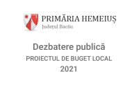 Dezbatere publică privind proiectul de buget pe anul 2021