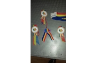 Decorațiuni patriotice